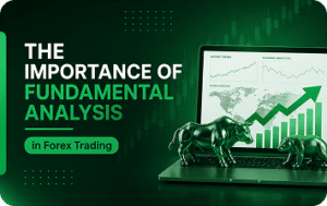 The Importance of Fundamental Analysis in Forex Trading