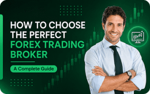 How to Choose rhe Perfect Forex Trading Broke- A Complete Guide